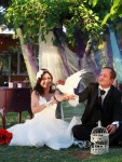dış mekan düğün fotoğrafçısı ankara
