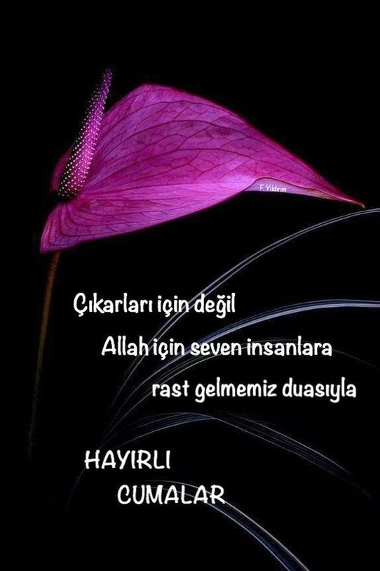 Ağlatan cuma mesajları resimli, ağlatan cuma mesajları yeni, ağlatan cuma mesajları değişik, ağlatan cuma mesajları farklı, güzel sözlü ağlatan cuma mesajları, güzel sözlü