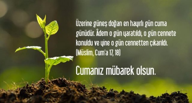 Cumanız Mübarek Olsun Yazılı resimli en güzel cuma mesajları, cuma sözleri 2020, en güzel anlamlı, ağlatan, en yeni, en farklı cuma mesajları