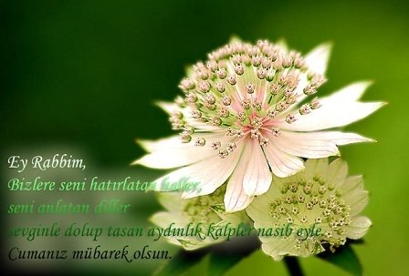 Cumanız Mübarek Olsun Yazılı resimli en güzel cuma mesajları, cuma sözleri 2020, en güzel anlamlı, ağlatan, en yeni, en farklı cuma mesajları