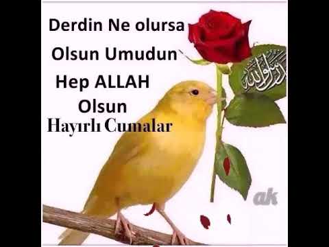 Güzel Anlamlı Cuma Mesajları, Anlamı Güzel Cuma Sözleri indir, gönder, en güzel anlamlı resimli cuma sözleri whatsapp durumları paylaş