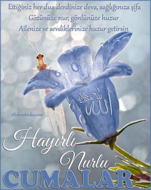Güzel Anlamlı Cuma Mesajları, Anlamı Güzel Cuma Sözleri indir, gönder, en güzel anlamlı resimli cuma sözleri whatsapp durumları paylaş